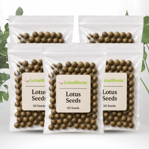 LotusBloom™